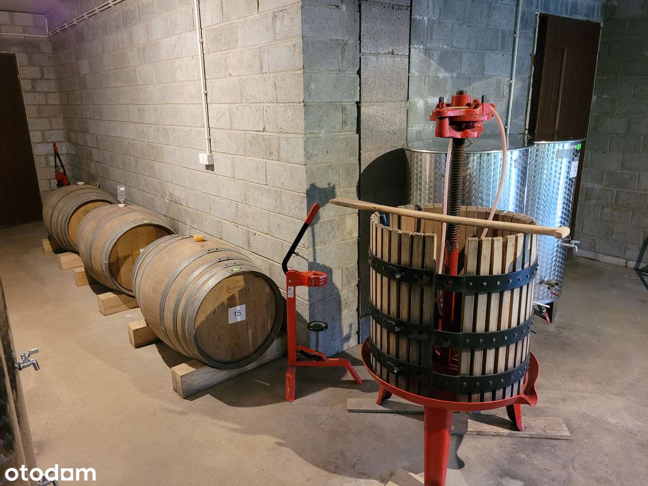 Piękny dom z winnicą - Pełny obrazek: 4/12