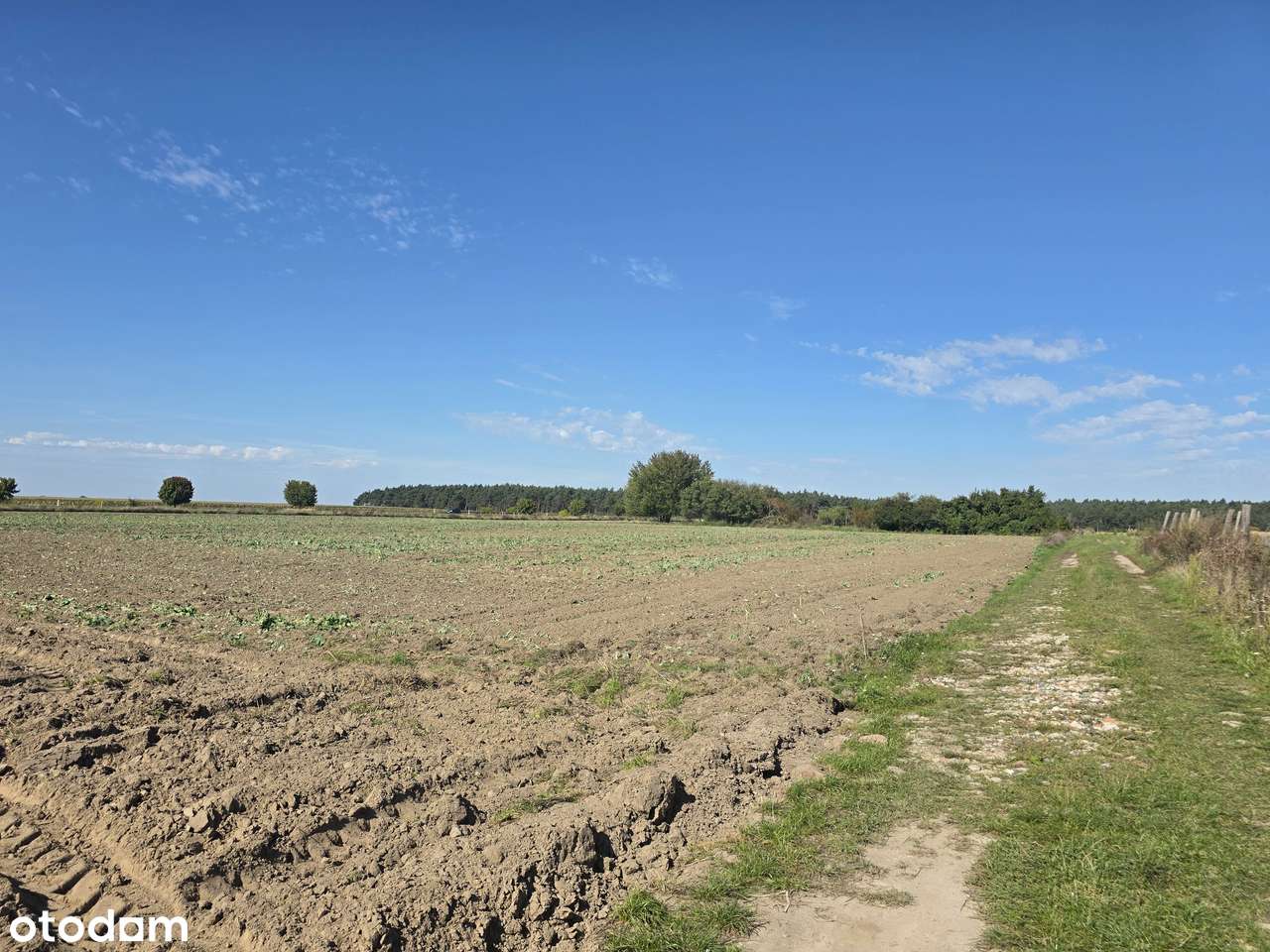 Działka usługowa Wschowa (woj. lubuskie)-5