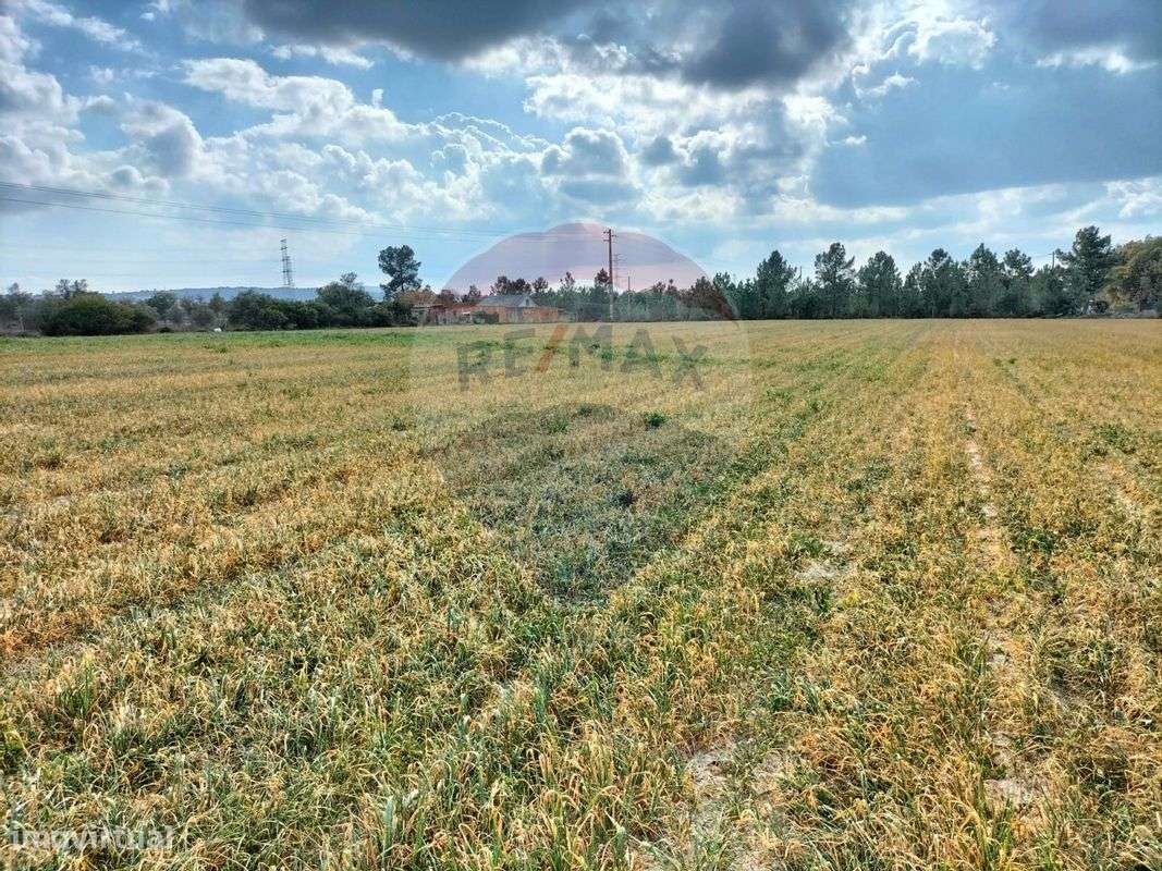 Terreno  para venda - Grande imagem: 2/28