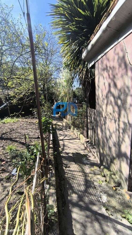 Moradias inseridas em lote urbano de 636 m² | Boavista, Porto-16