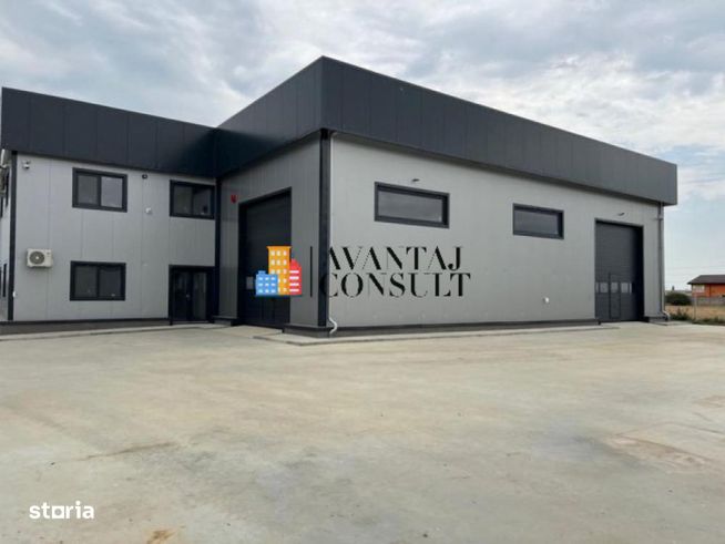 Domnesti Vanzare hala noua-7