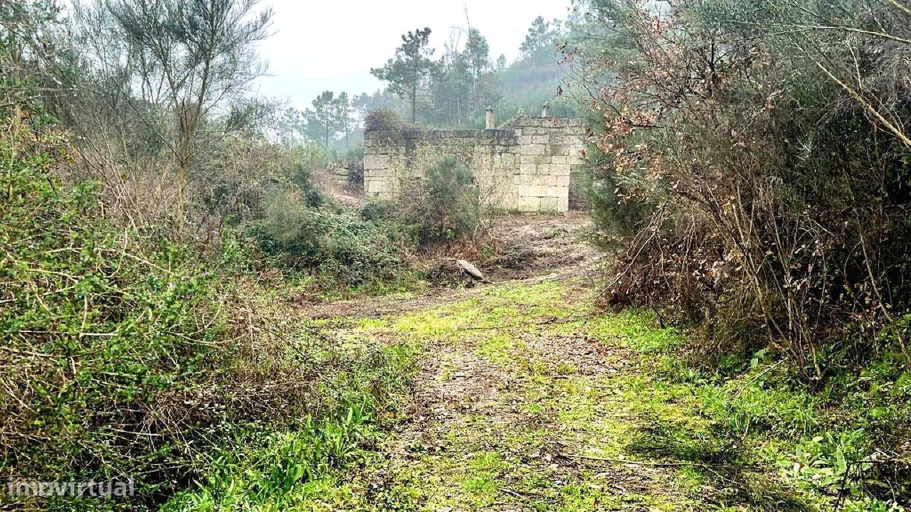 Quinta  Venda em Bustelo, Carneiro e Carvalho de Rei,Amarante - Grande imagem: 3/20