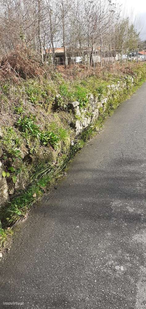 Terreno em Lobão-11