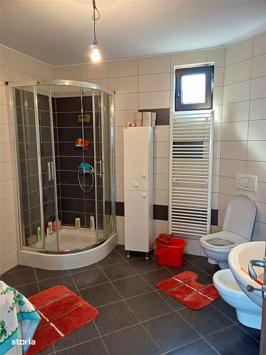 DOUA CASE DE VANZARE LA TALMACIU-9