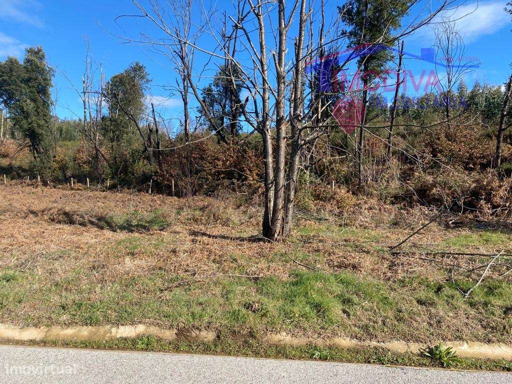 Terreno com 4700 m2 - Grande imagem: 5/8