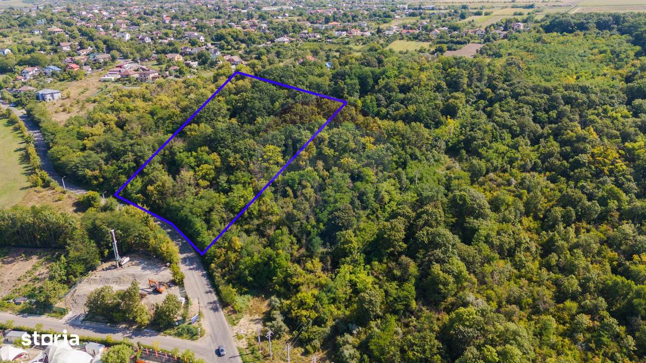 Investiție Unică: Teren de Vânzare 11.330mp pe Lacul Aroneanu - Iași - Imagine principală: 4/6