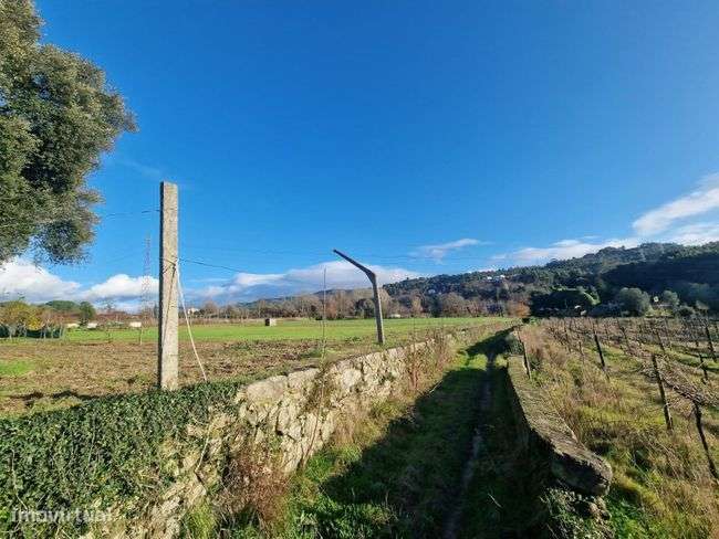 Fantástico terreno agrícola - Grande imagem: 2/7