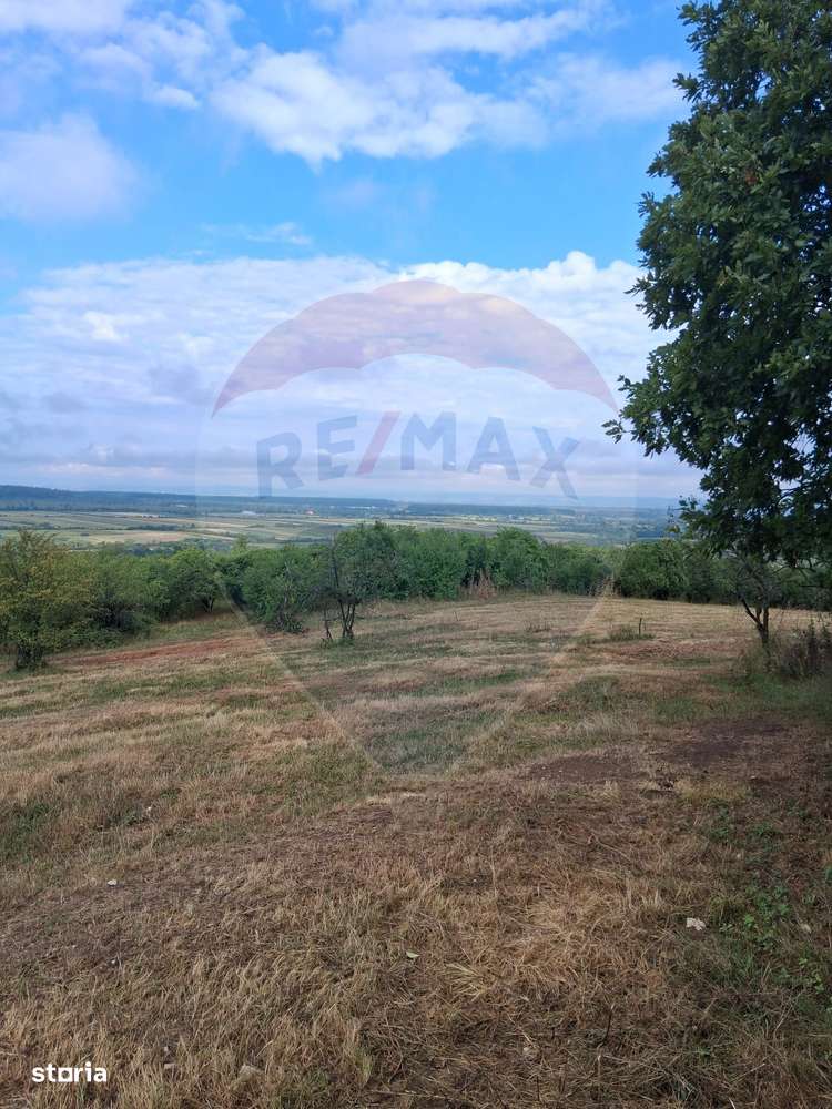 Teren 5,700mp Somcuta Mare / investitie cu potential major-8