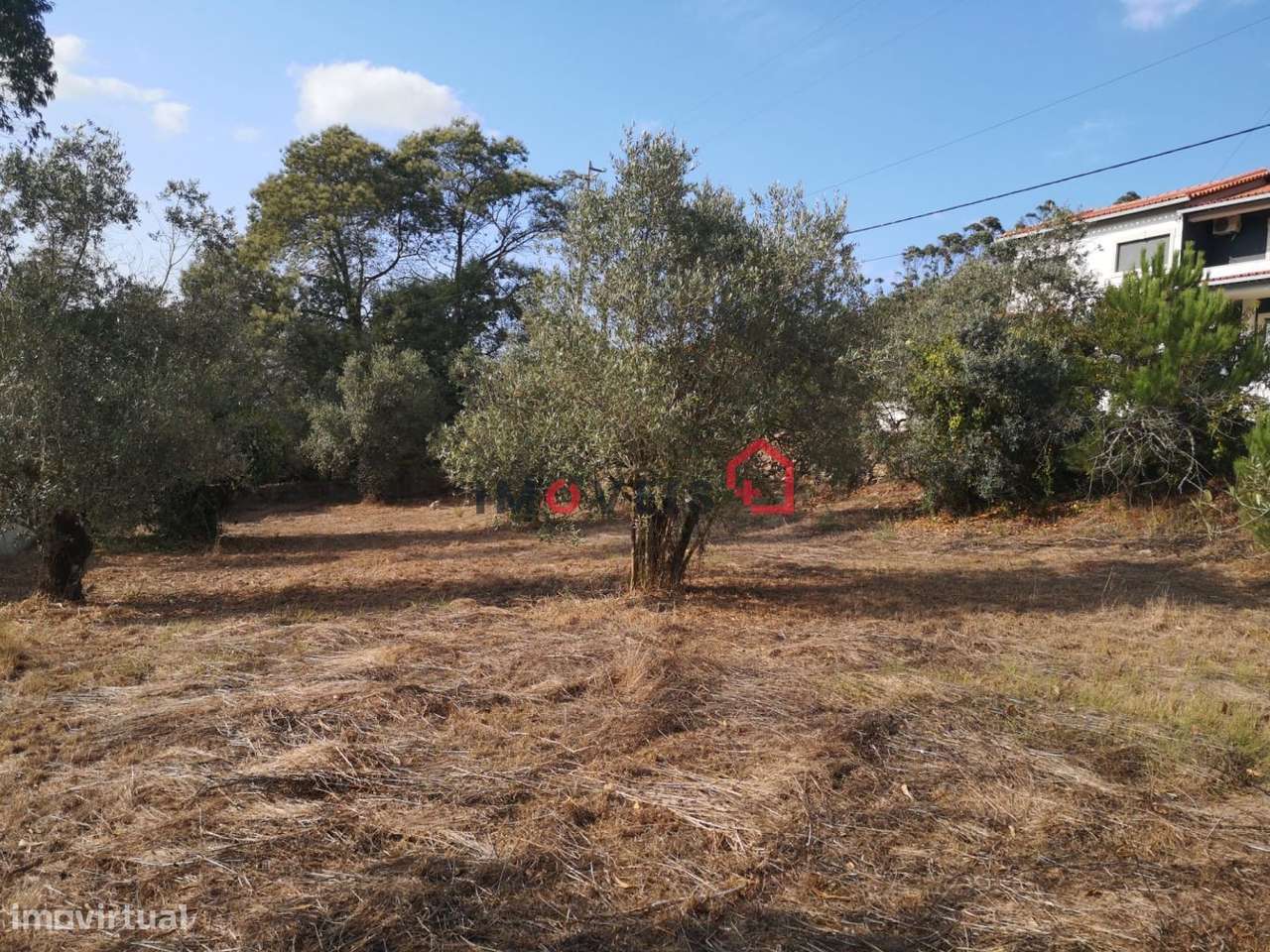 Terreno | Construção| Chainça-6