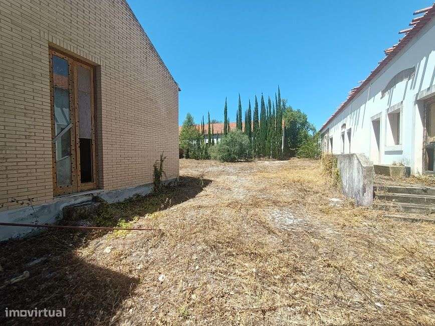 Quintinha em plena lezíria ribatejana, ideal para projeto turístico!-11
