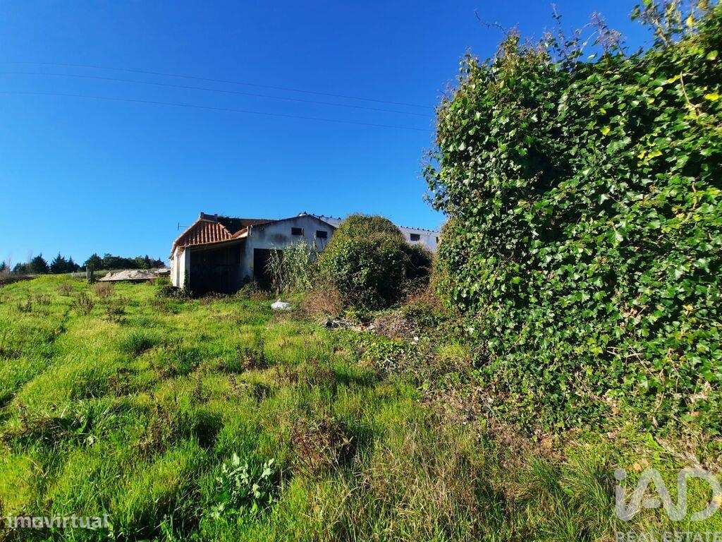 Terreno misto em Carvalhal - Grande imagem: 1/27