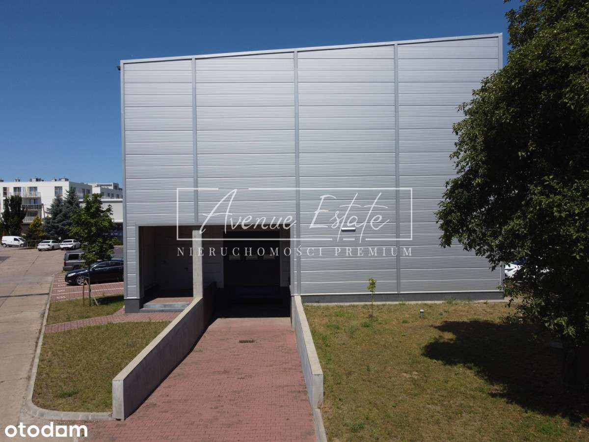 Magazyn z rampą i dokiem / 509 m² / 11 m wysokości - Pełny obrazek: 3/7