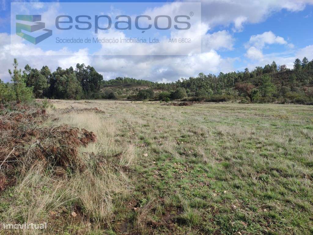 Terreno rústico a confinar com pequeno ribeiro - Sarzedas - Grande imagem: 2/17