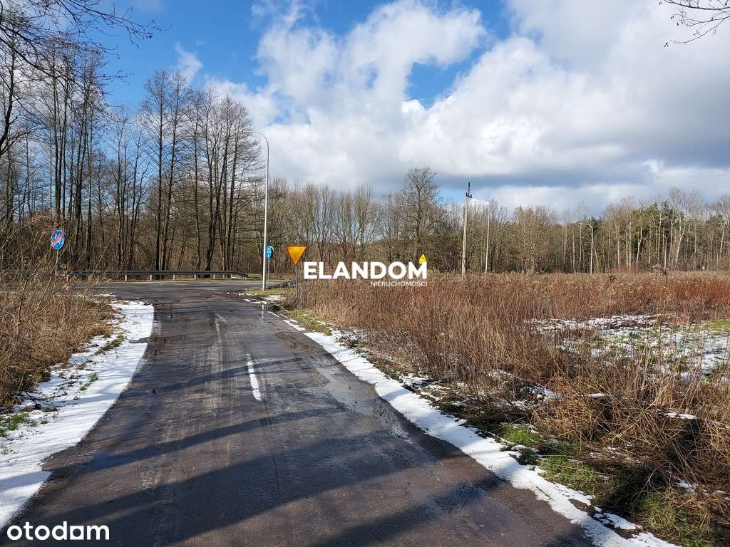 Przy drodze asfaltowej, duża działka - Pełny obrazek: 5/6