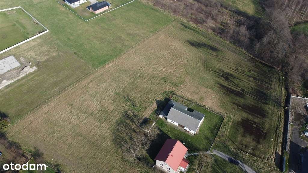 68/18292/OGS - Pełny obrazek: 4/13