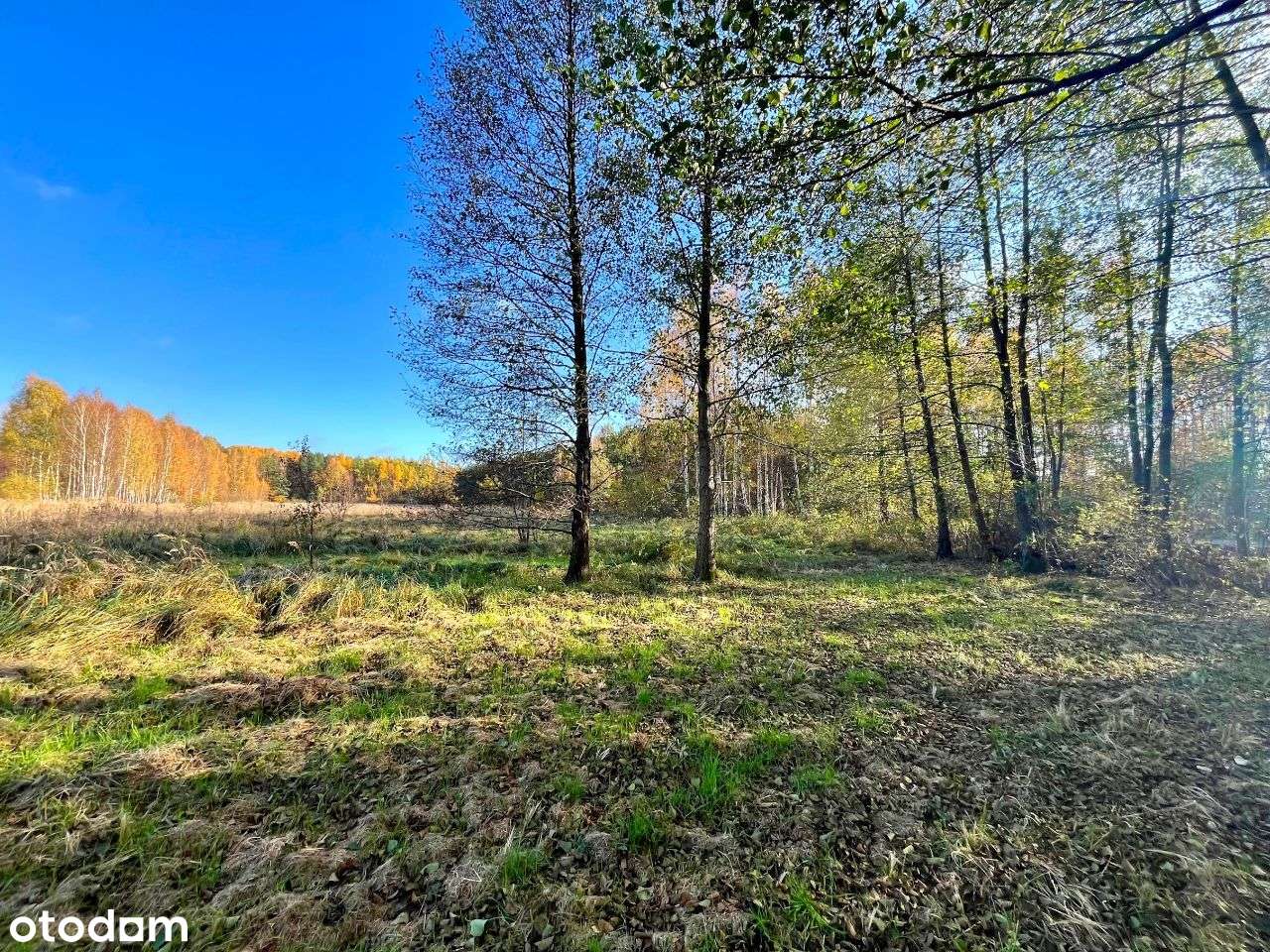 Gertrudów - działka budowlana - gmina Gomunice - Pełny obrazek: 5/14