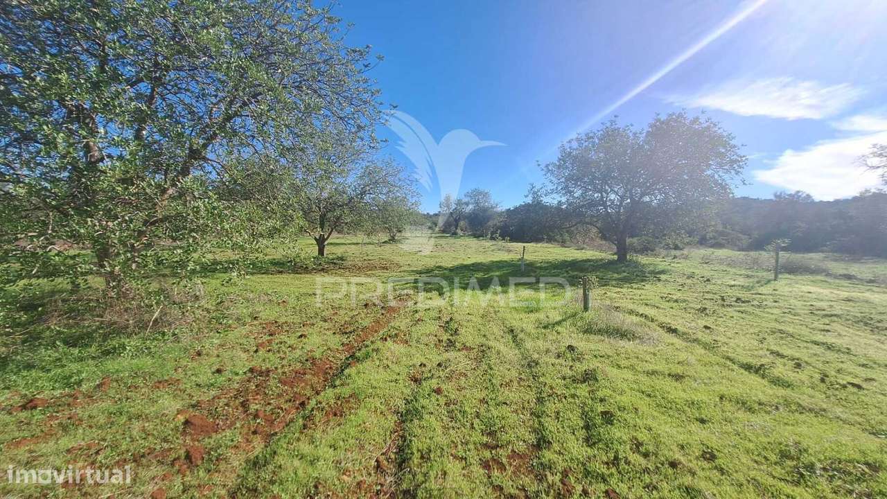Terreno Rustico em Loulé próximo da Fábrica da Cimpor - Grande imagem: 5/10
