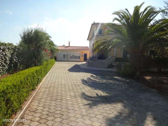 Quinta T/7 Cartaxo-21