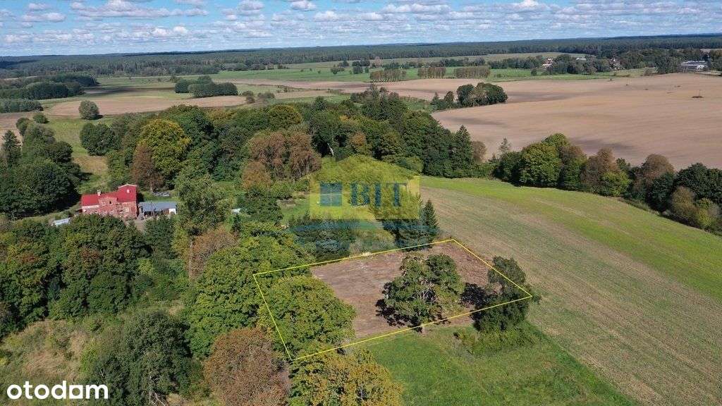 Działka na obrzeżach miejscowości Rzęśnica - Pełny obrazek: 5/12