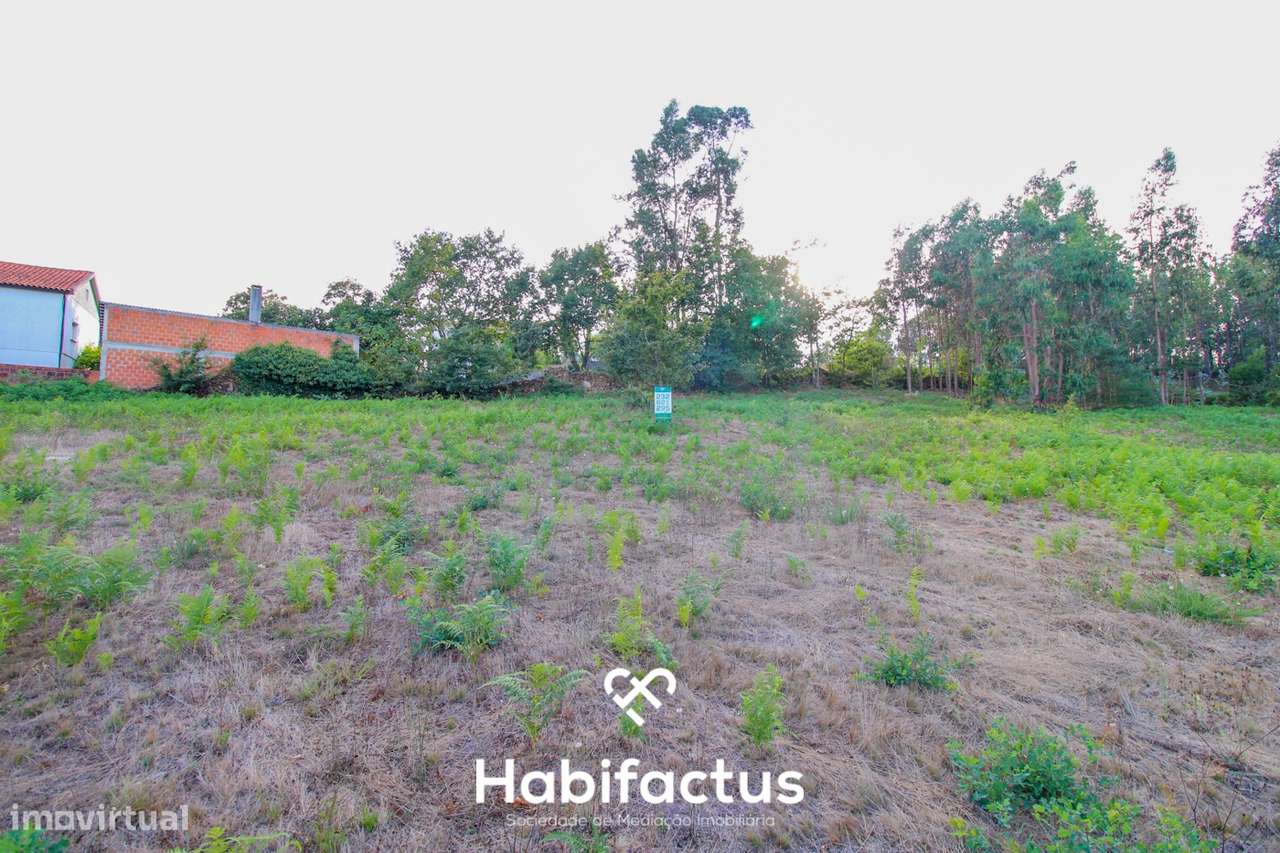 Terreno para Construção com 4720m² em Sabugosa – Ideal para Moradia Is - Grande imagem: 3/9