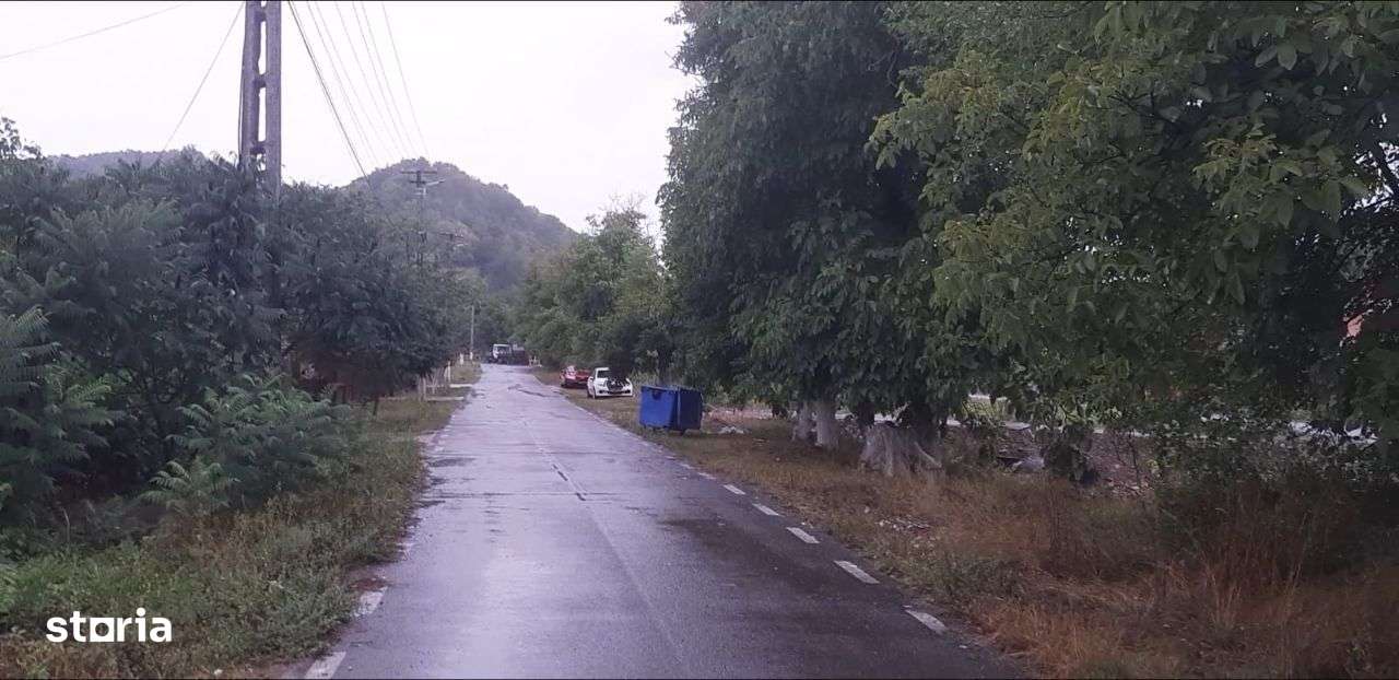 Vand teren intravilan foarte mare Loc. Buceava, Com. Gurahont 6700 m2. - Imagine principală: 4/9