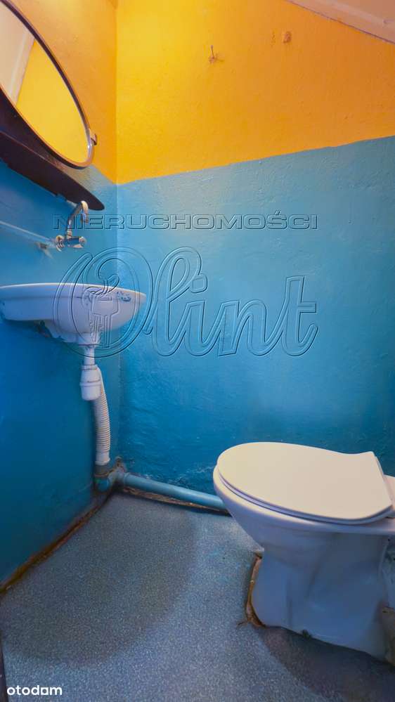 Okazja! Bliźniak z potencjałem-6