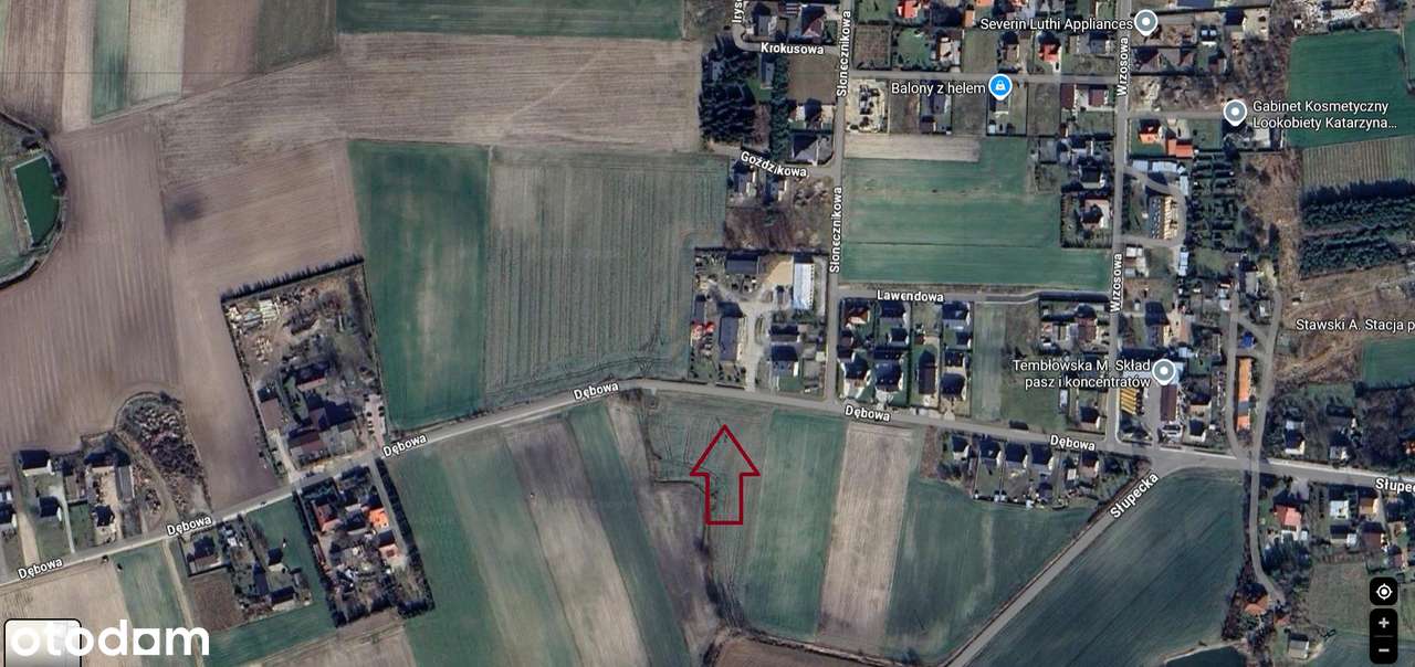 działki budowlane w miejscowości Wilczyn / Wilczogóra  bez pośredników-9