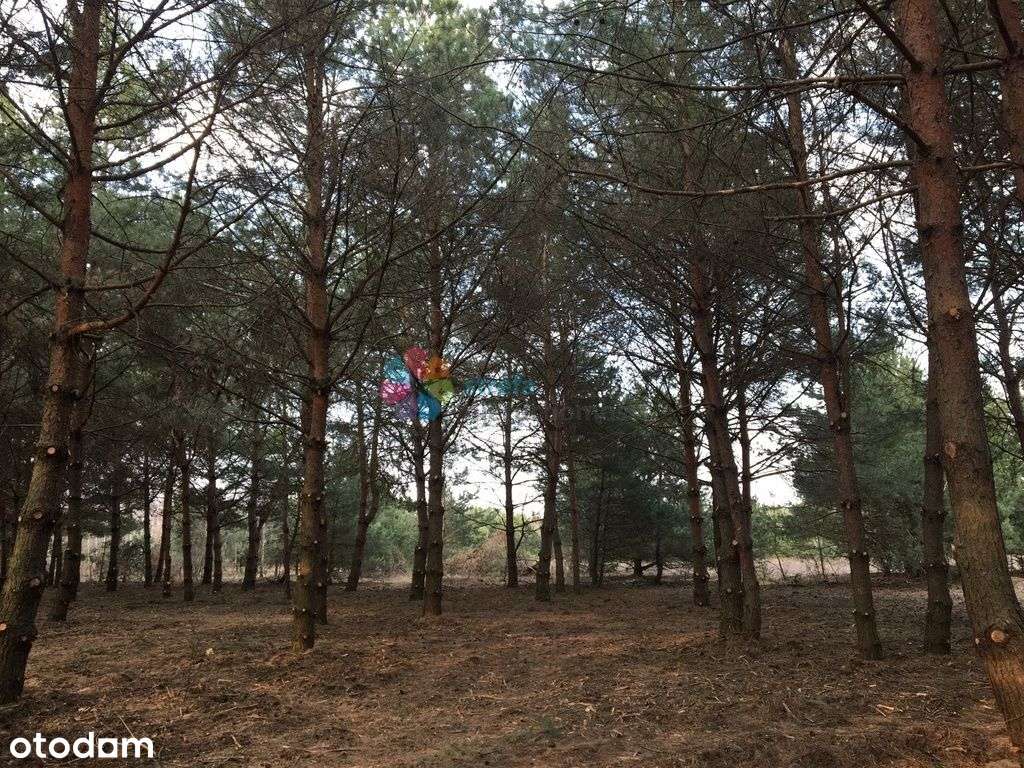 Działka budowlana, rejon ul. Skowronków/Spacerowej - Pełny obrazek: 5/5