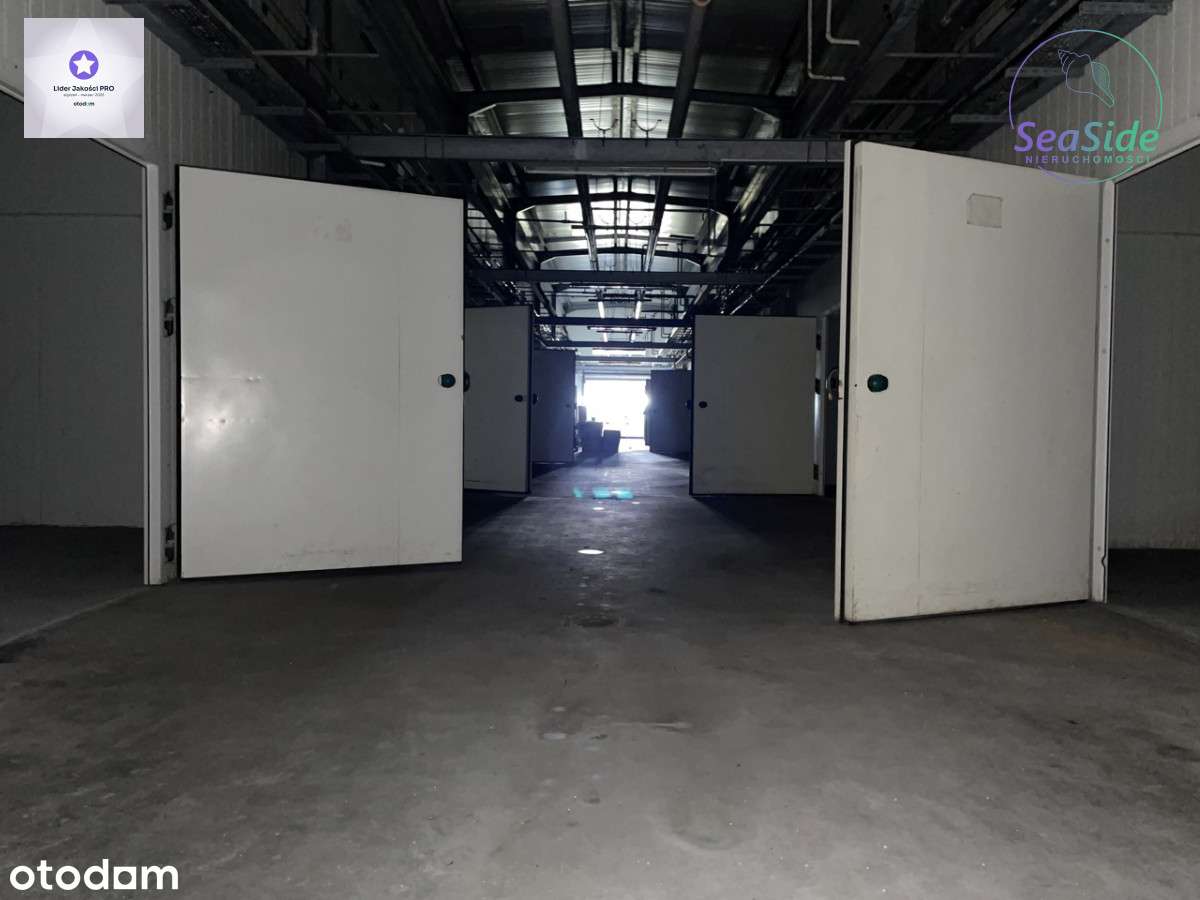 Hala magazynowa 30 km s5 i 50 km od Poznania !!! - Pełny obrazek: 5/11