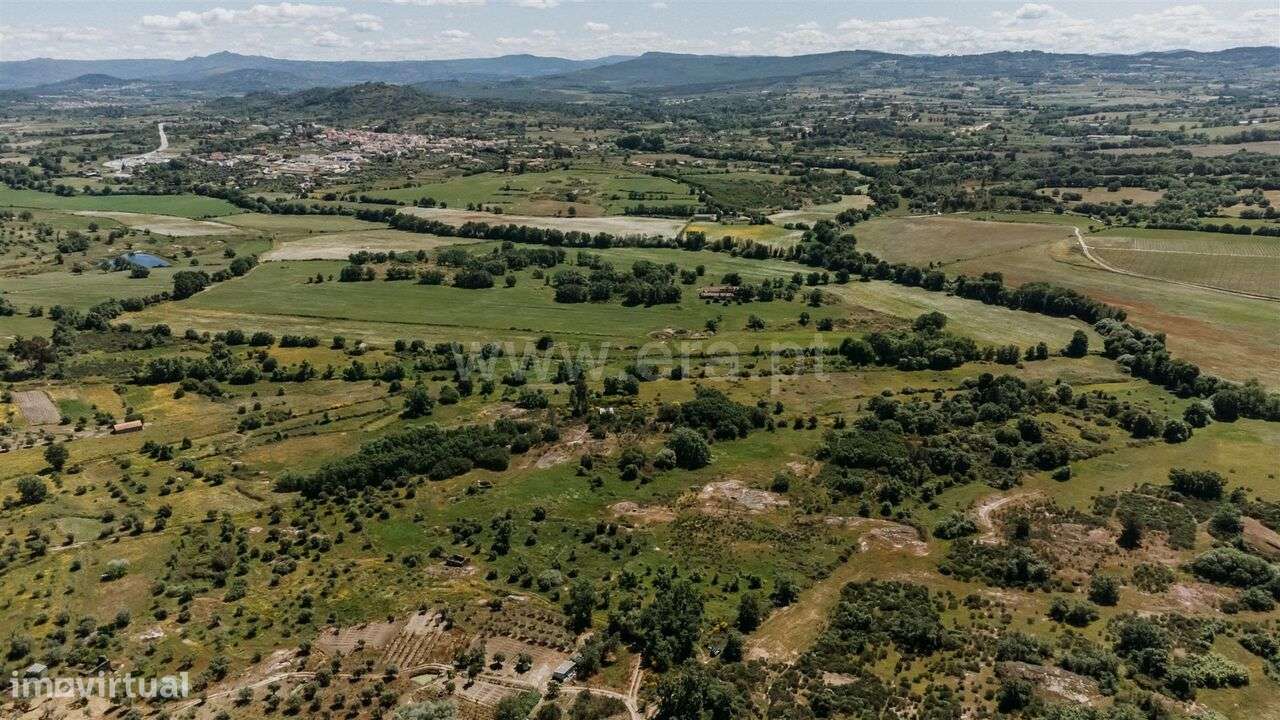 Quinta / Covilhã, Peraboa - Grande imagem: 4/20