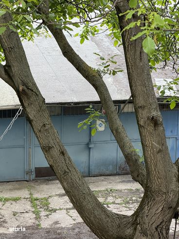 Ap cu 2 camere decomandat, et. 2/4, garaj, centrala termica, Bucovina!-17