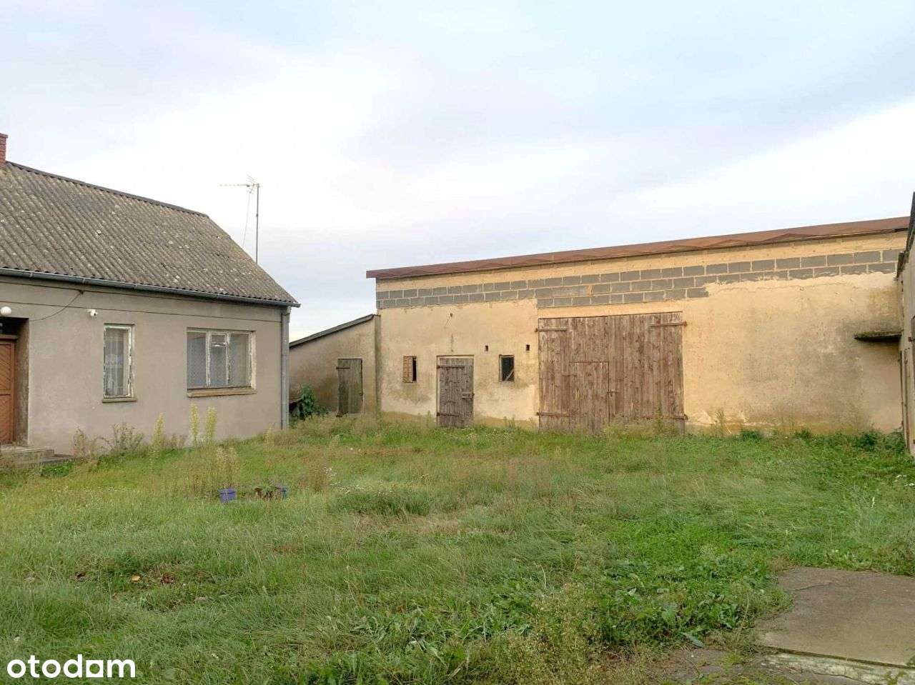 na sprzedaż siedlisko Ladorudz pow Koło-7