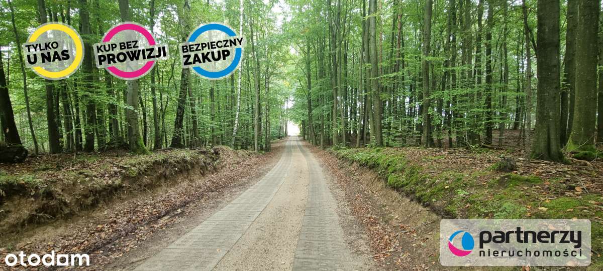 Działki W Okolicy Bytowa - Pełny obrazek: 4/12