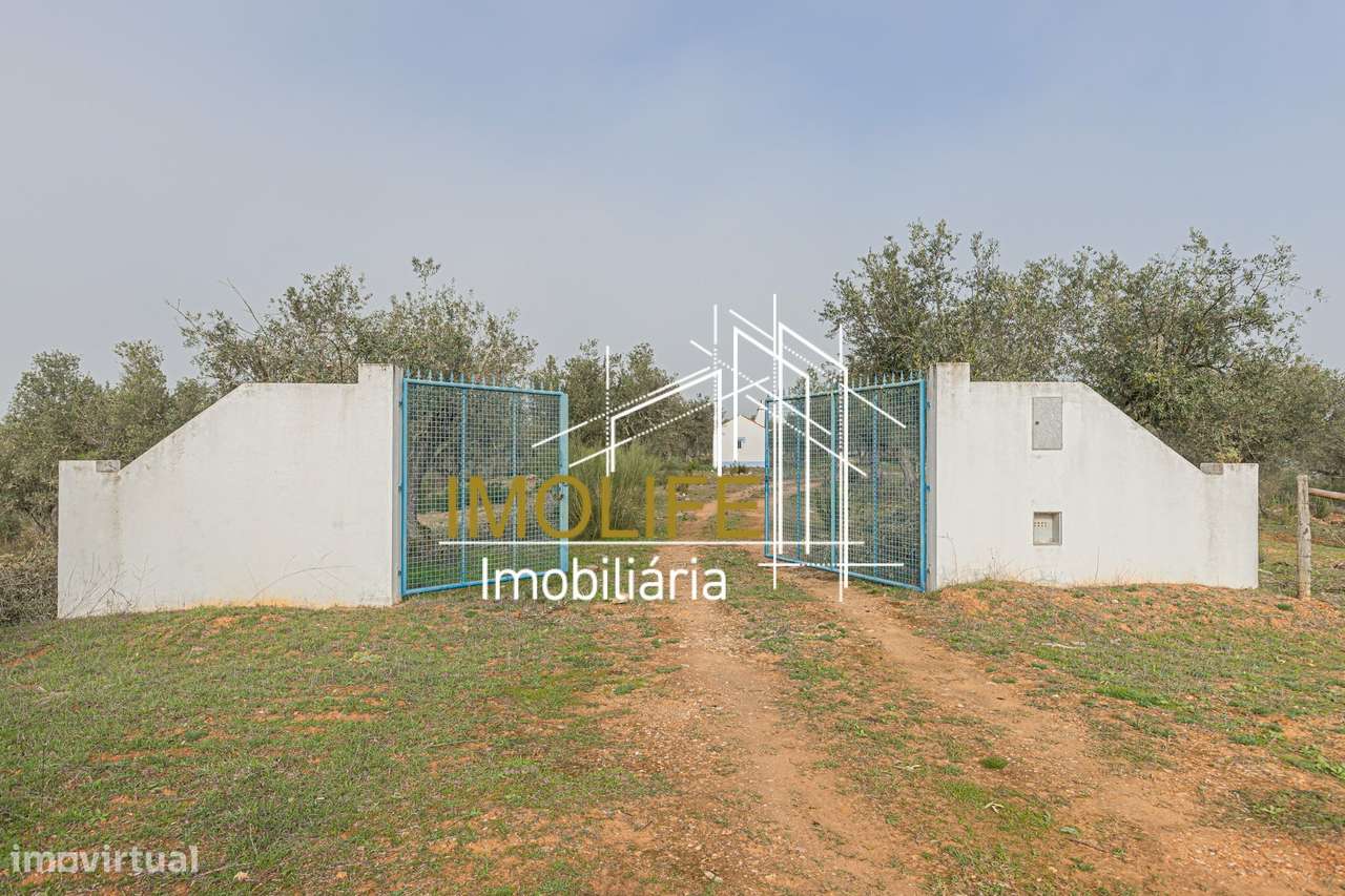 MONTINHO DO CHIADO - MALARRANHA - PAVIA-34