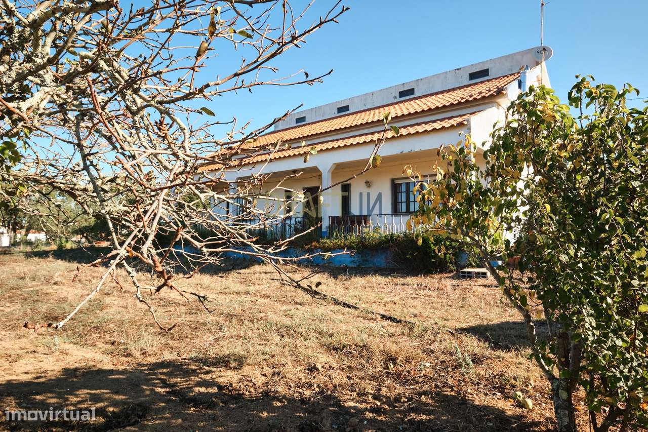 Quinta de 8 hectares em Melides - Grande imagem: 4/42