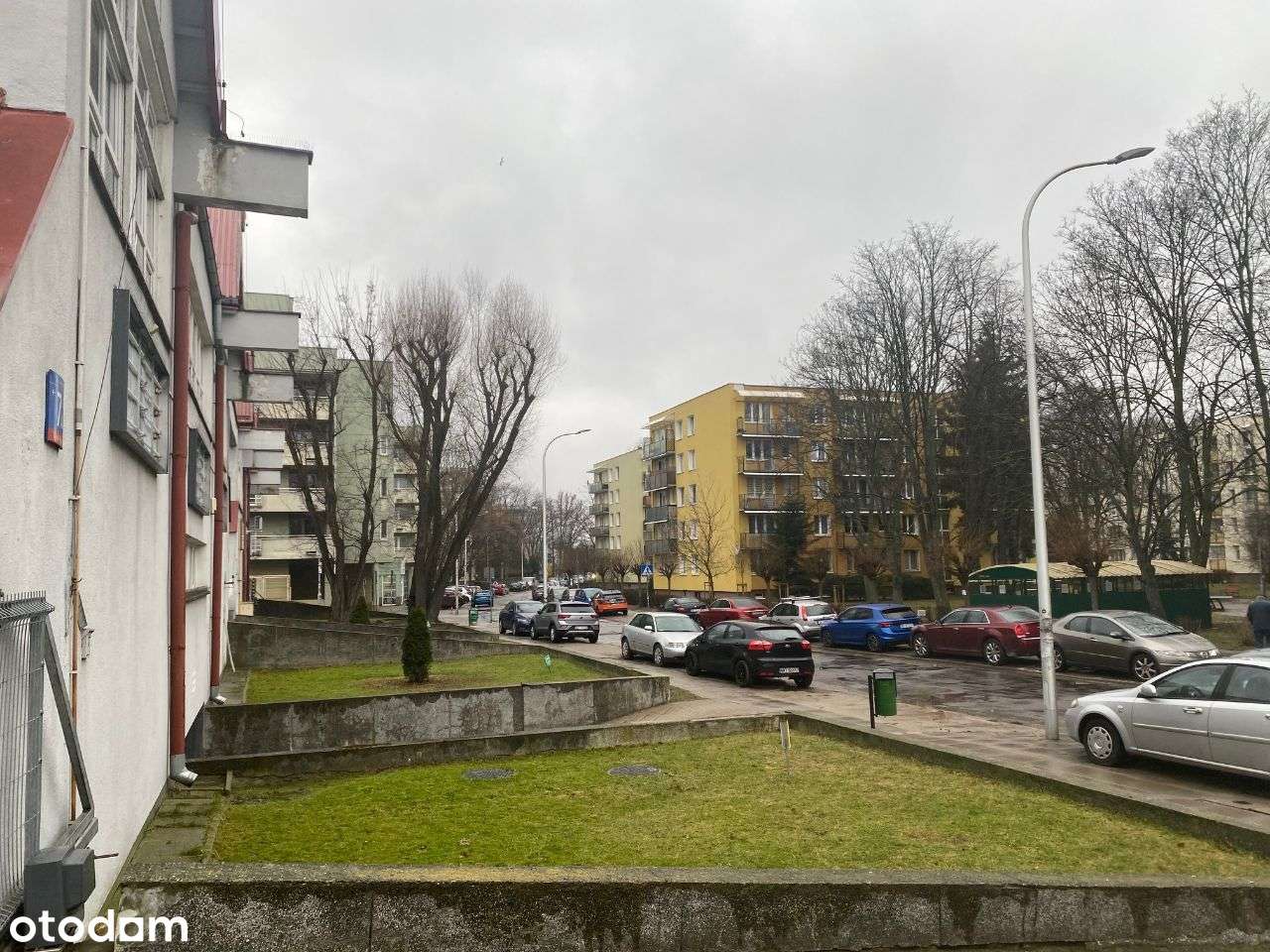 Lokal użytkowy ul. Arabska - Pełny obrazek: 4/5