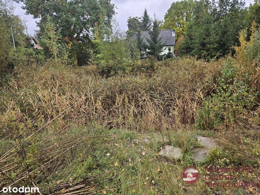 Działka ze stawem !!!! Świetna lokalizacja ! - Pełny obrazek: 4/7