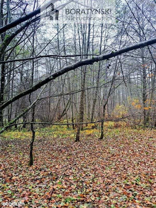 Działka z linią brzegową rzeki Grabowa-9