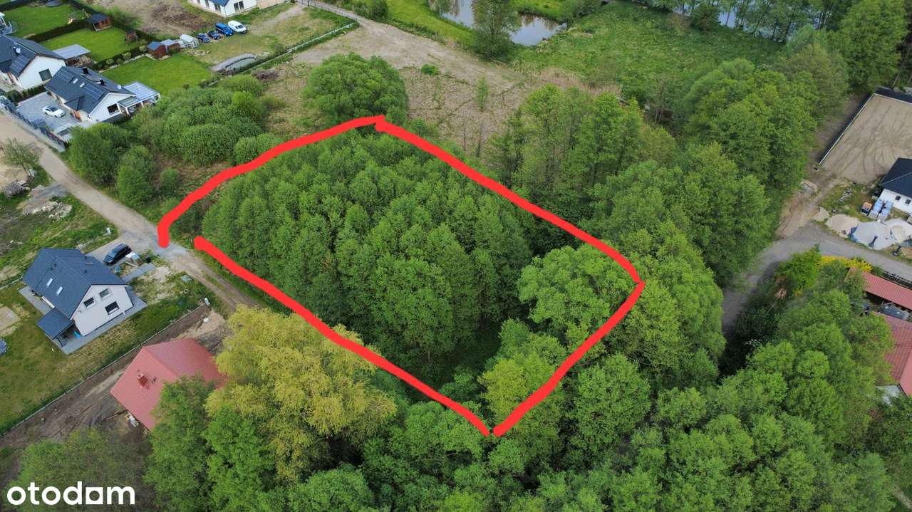 Dwie działki budowlane Ochla-Ostoja, prywatny las, dalekie sąsiedztwo