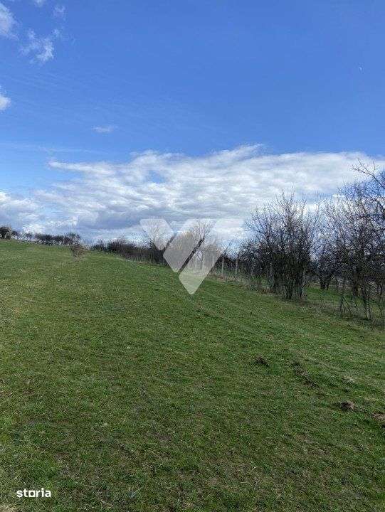 Teren 3500 mp in Rasinari – Curent in Apropiere, Zona de Relaxare - Imagine principală: 5/5