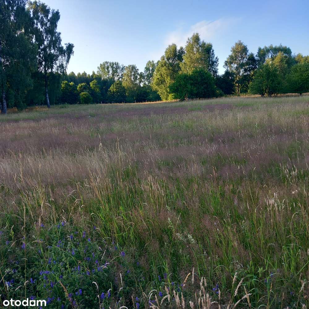 Skraj małej wsi, sąsiedztwo pola golfowego, media obok, droga gminna-6