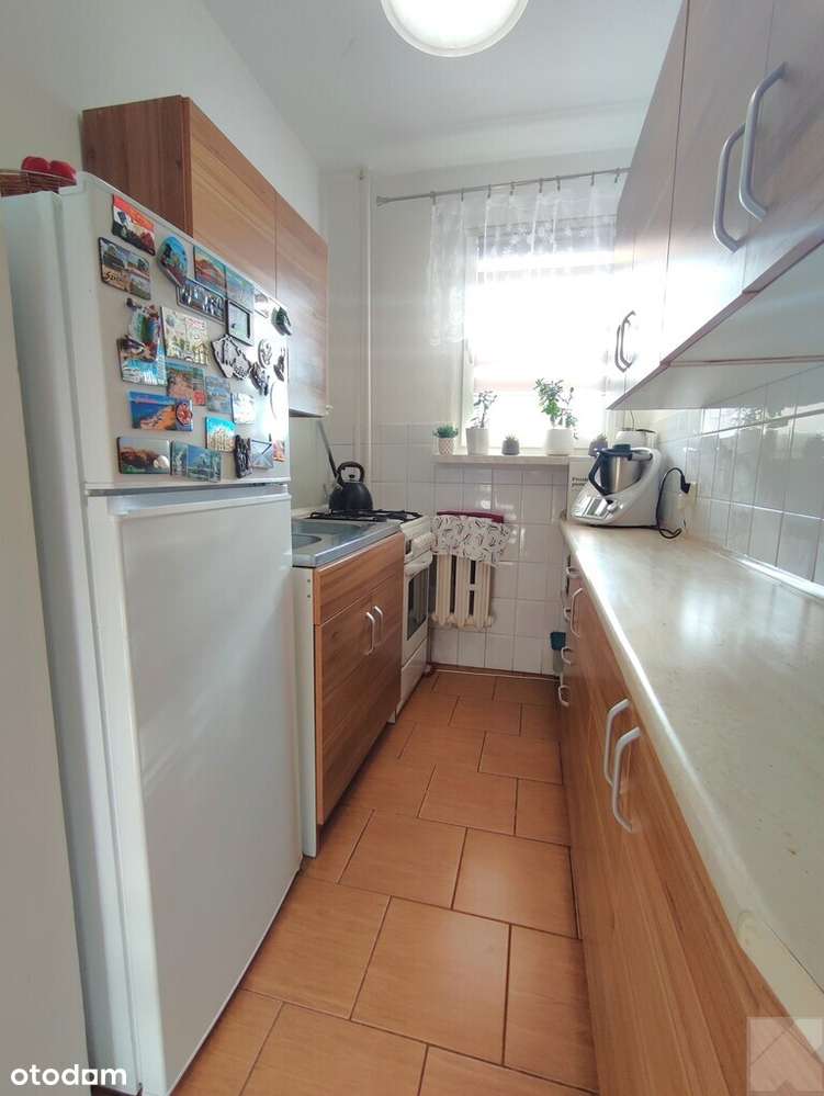 Mieszkanie do wynajecia 36 m2 /ul.Ofiar Katynia/ - Pełny obrazek: 4/20