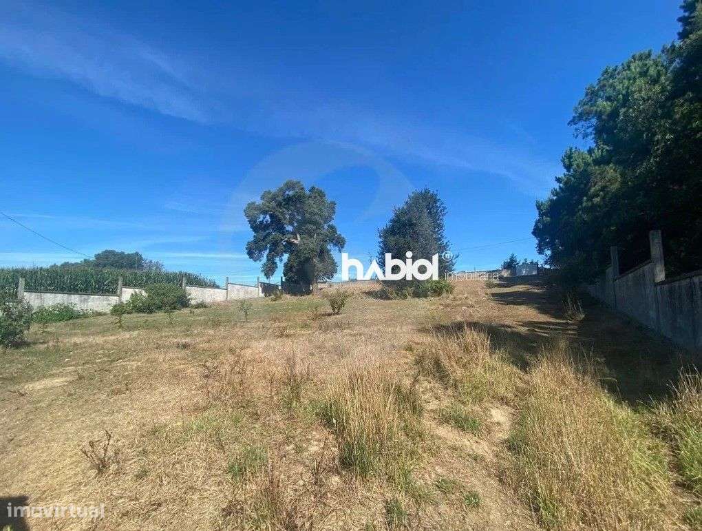 Lote para Construção de Moradia Térrea em Chorente Barcelos - Grande imagem: 4/9