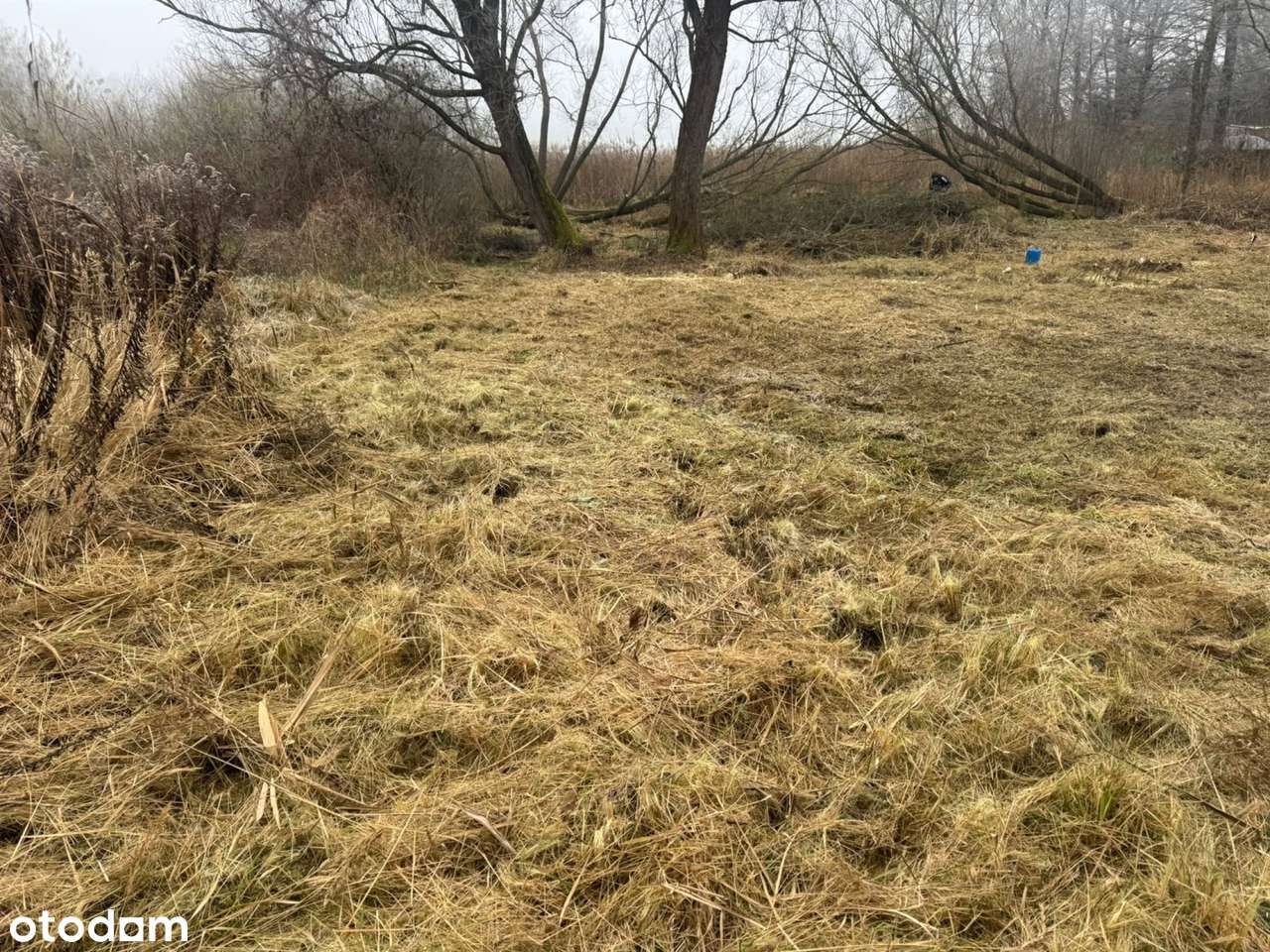 NA Sprzedaz Działka Z Linią Brzegową Jeziora-8