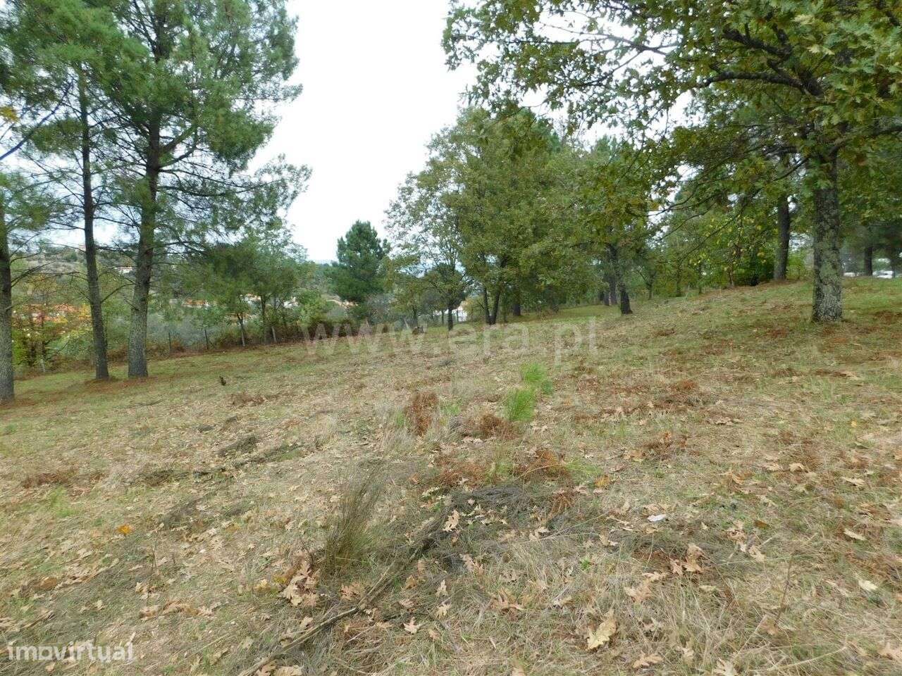 Terreno / Gouveia, São Paio - Grande imagem: 5/12