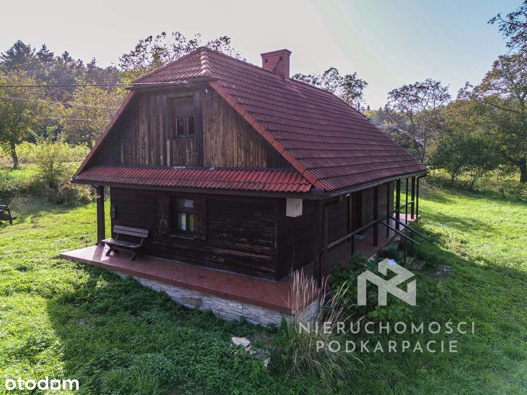 Wyjątkowy dom drewniany w otoczeniu lasu - Pełny obrazek: 4/18