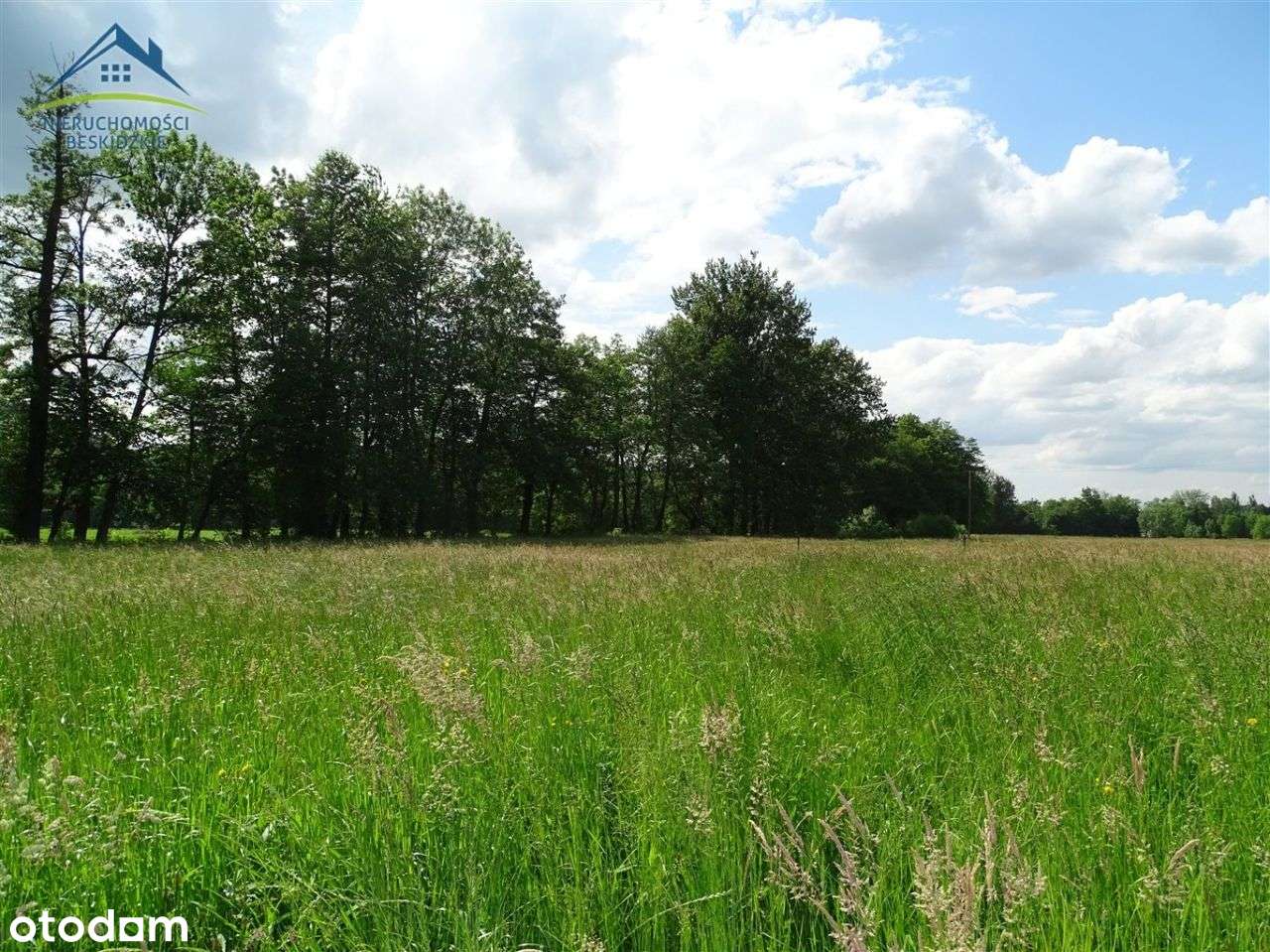 Piękna działka w Cisownicy - wszystkie media! - Pełny obrazek: 4/4