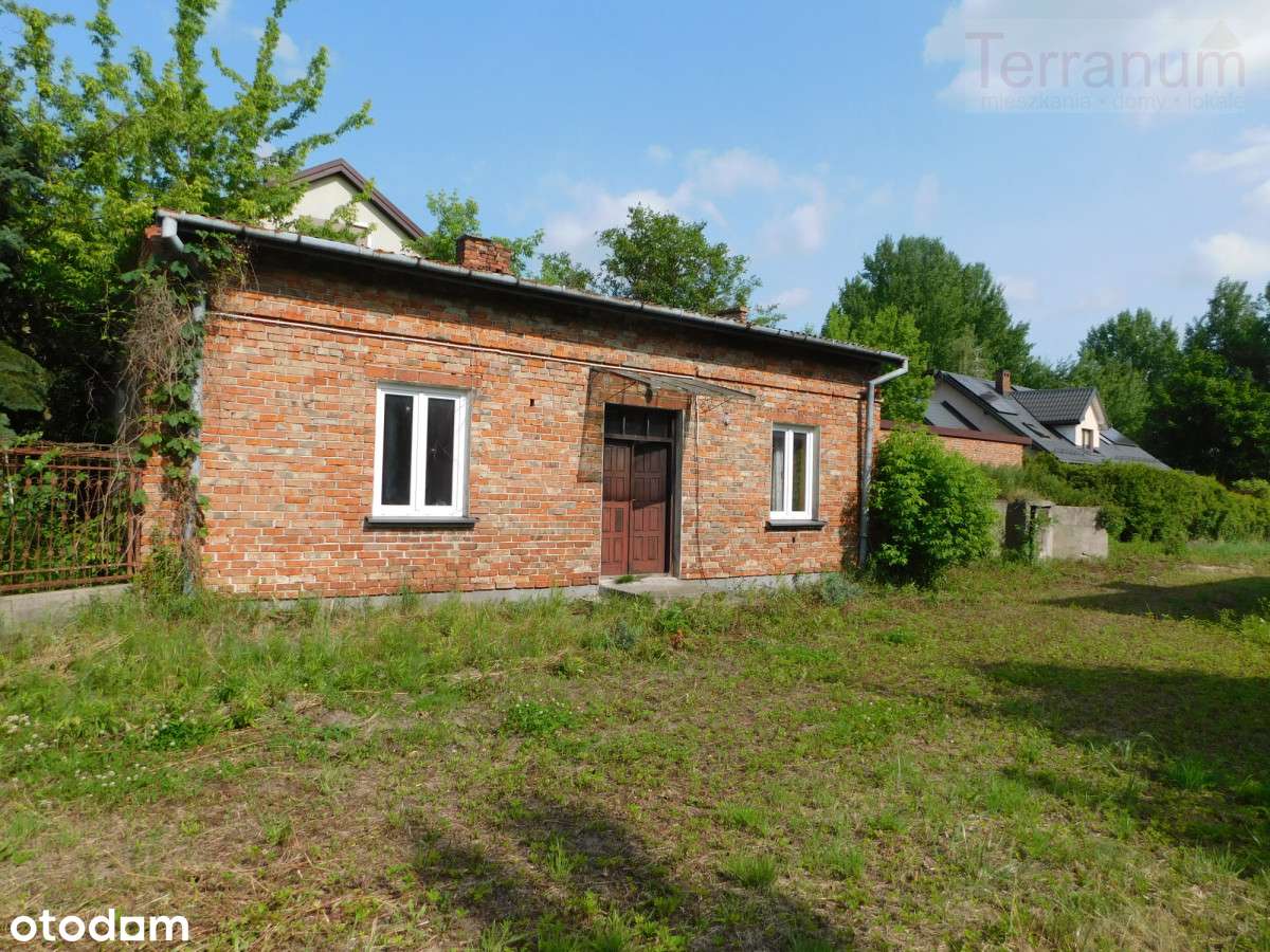 działka inwestycyjna - okolice Baniochy - Pełny obrazek: 5/9