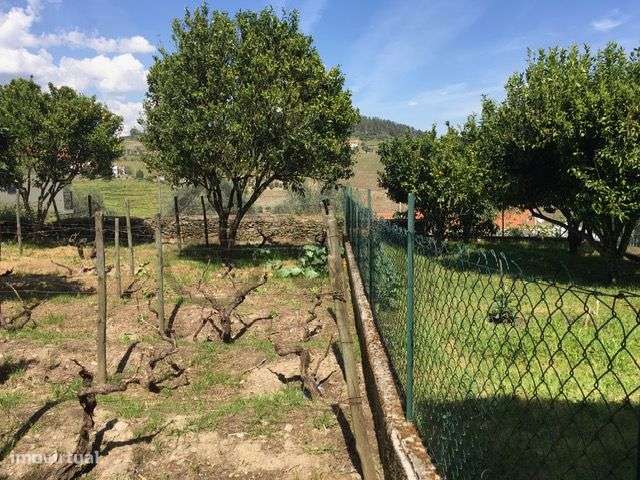 Casa com Terreno em Vilarinho de Cotas, Douro-26