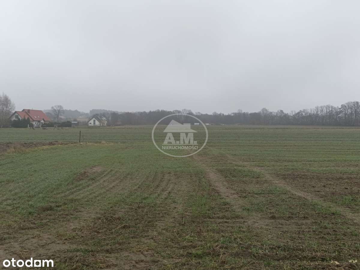 Działka idealna pod budowę wymarzonego domu - Pełny obrazek: 4/10